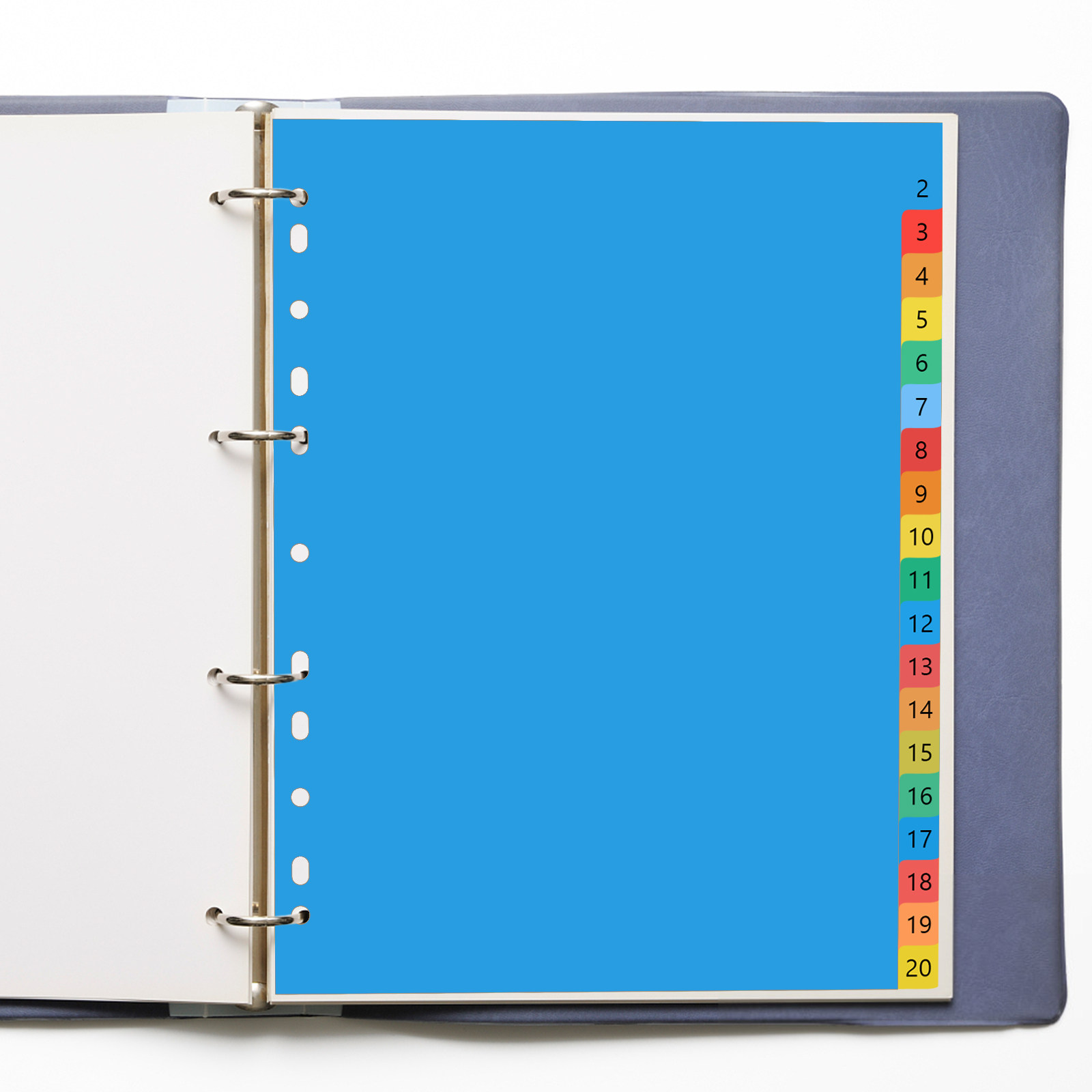 20 Pages A4 Colorful Plastic T - Tab Divider A4 review and price