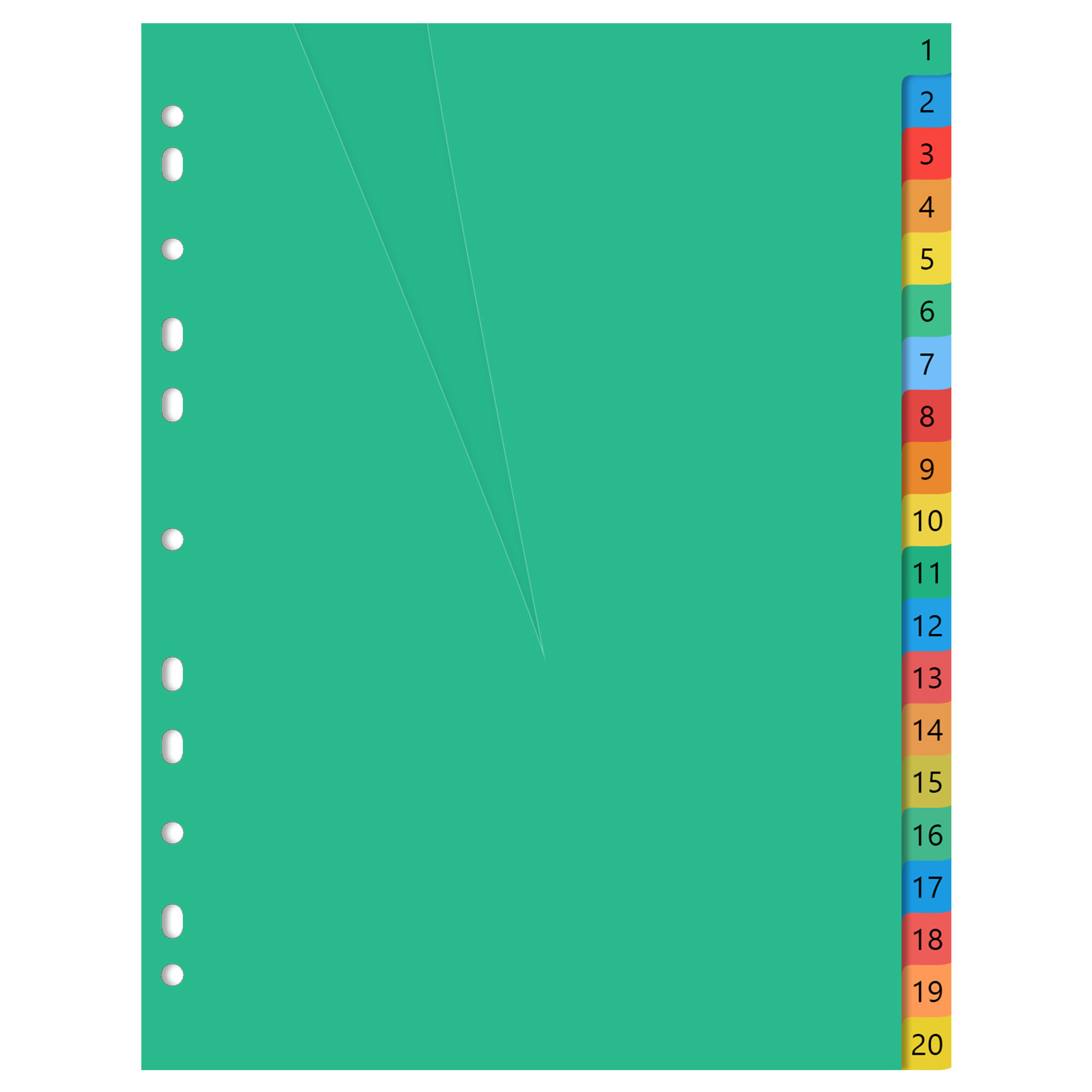 20 Pages A4 Colorful Plastic T - Tab Divider A4 review and price