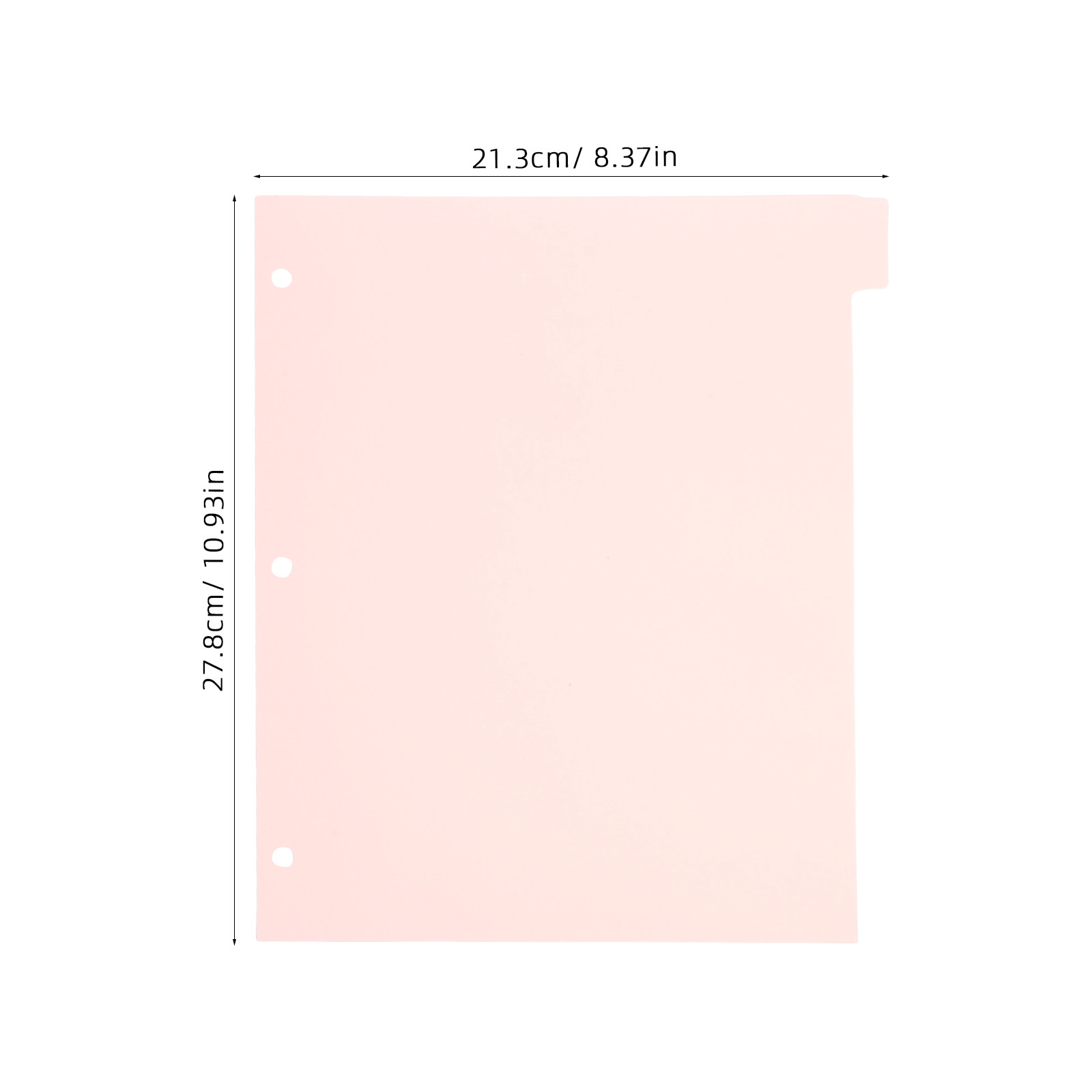 8Sheets Strong Sturdy Binder D - Tab Divider A4 review and price
